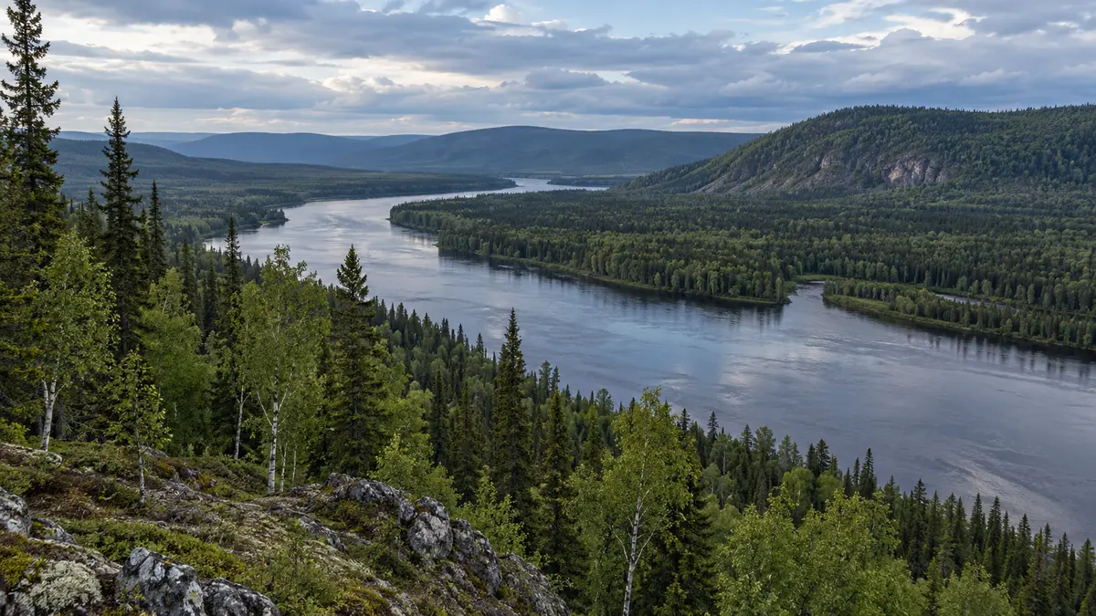 Siberian taiga landscape Siberian taiga landscape