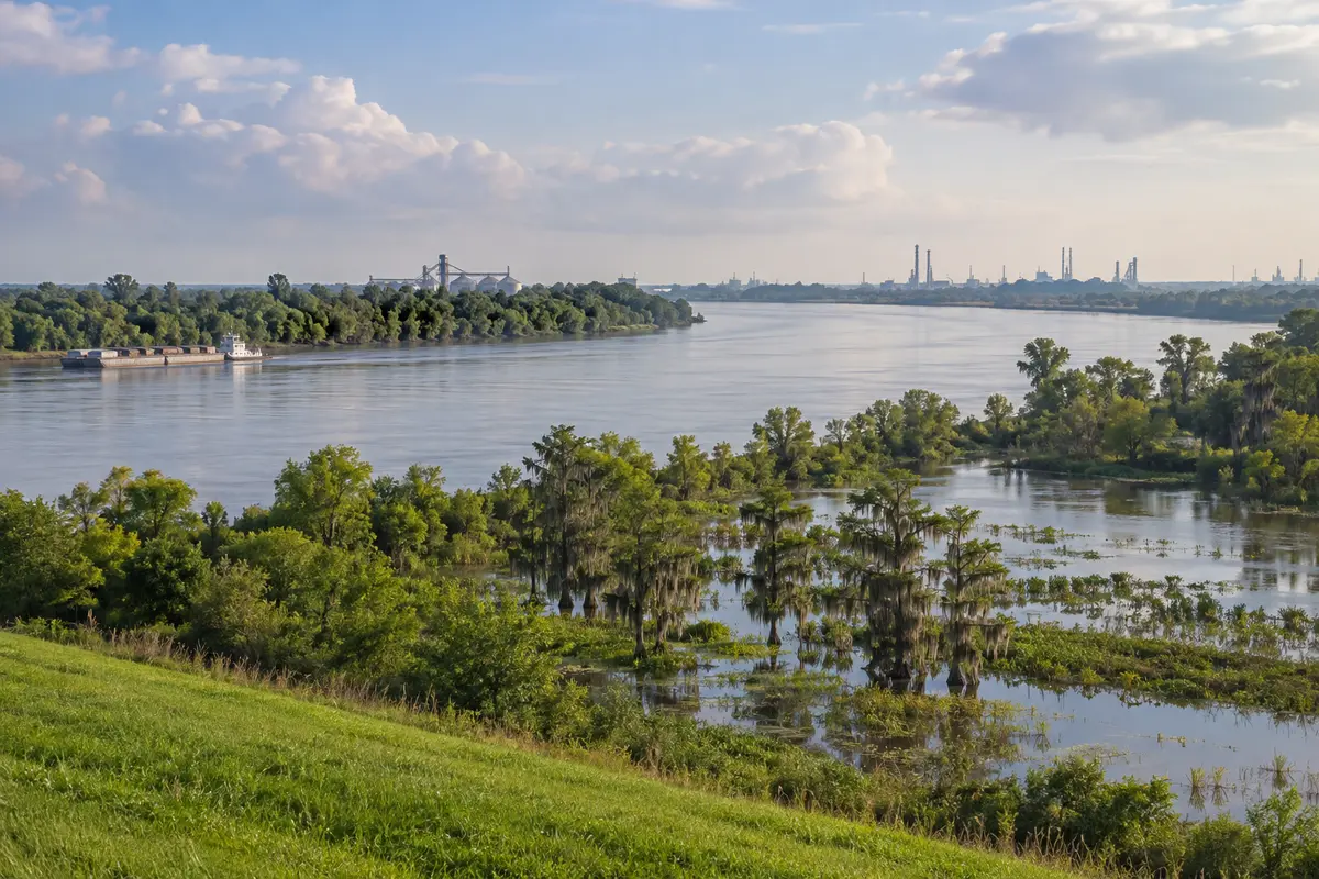 Louisiana river landscape