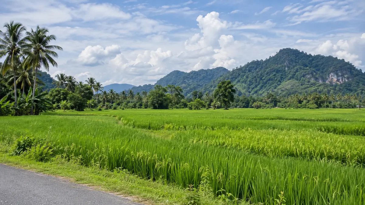 Fields and hills in Kedah