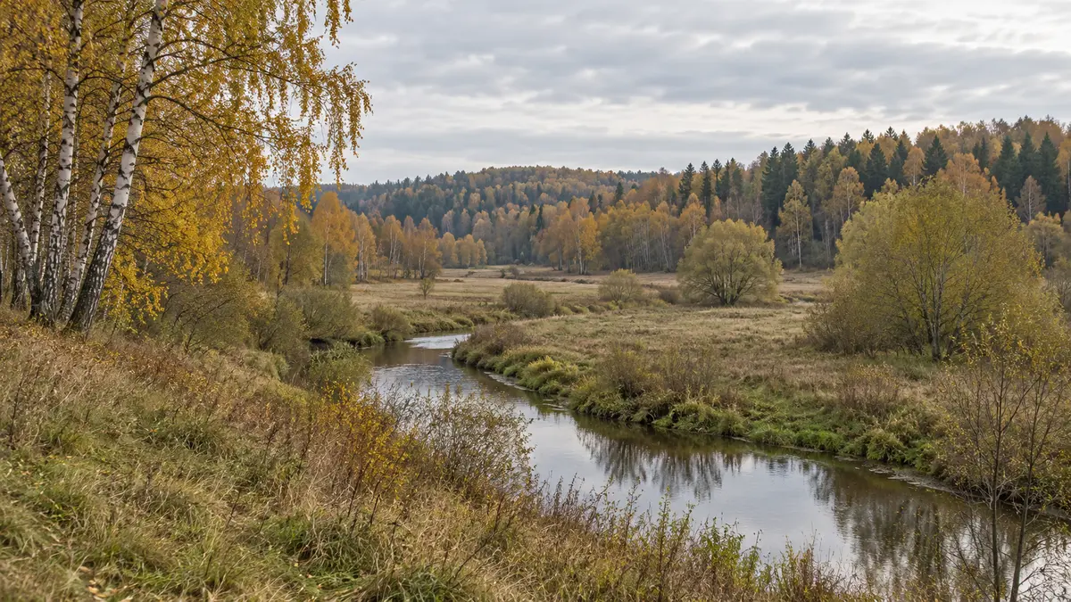 Подмосковный ландшафт Подмосковный ландшафт