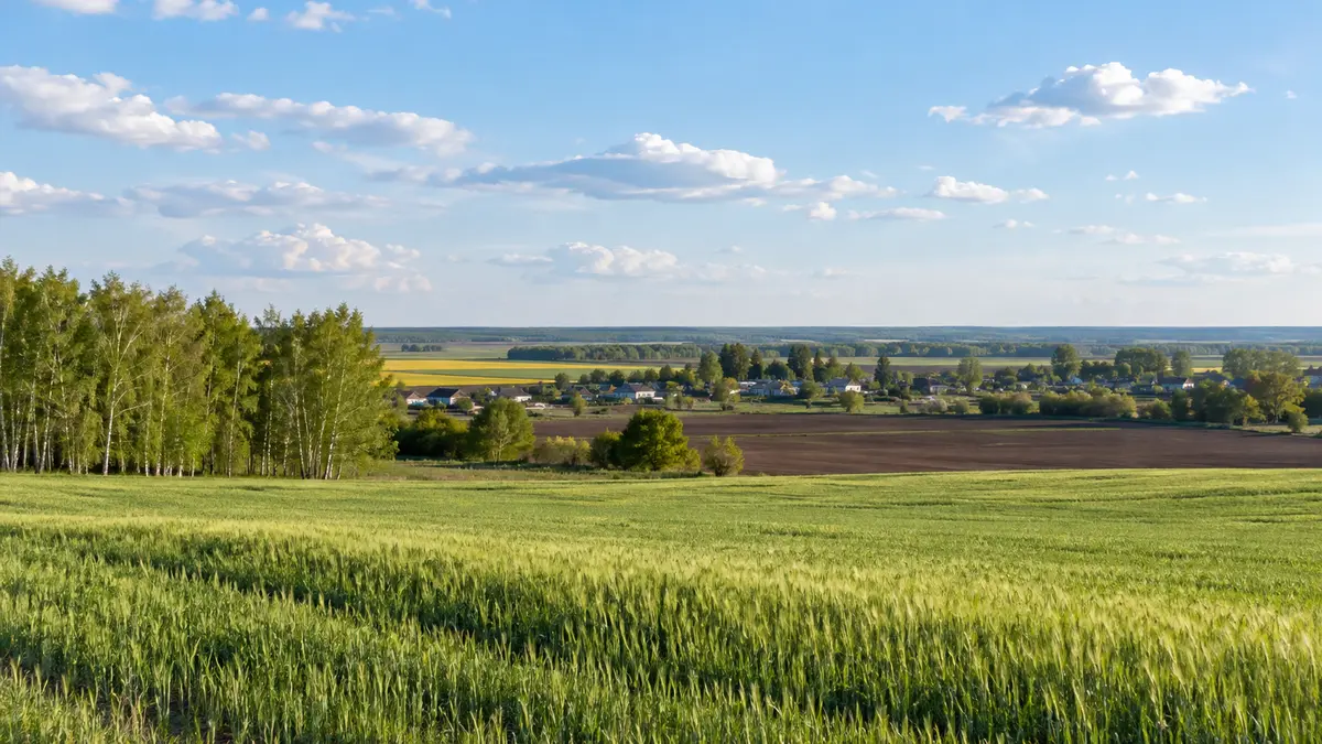 Altai Territory agricultural plains